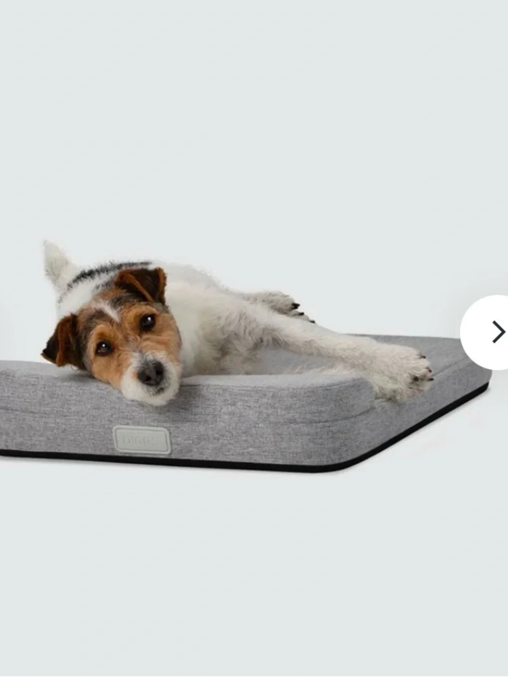 Diggs Bolstr Evolv Bed